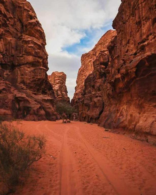 Wadi Rum Desert Heart Camp Exteriör bild