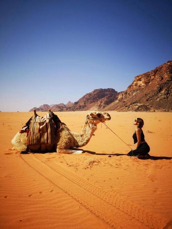 Wadi Rum Desert Heart Camp Exteriör bild