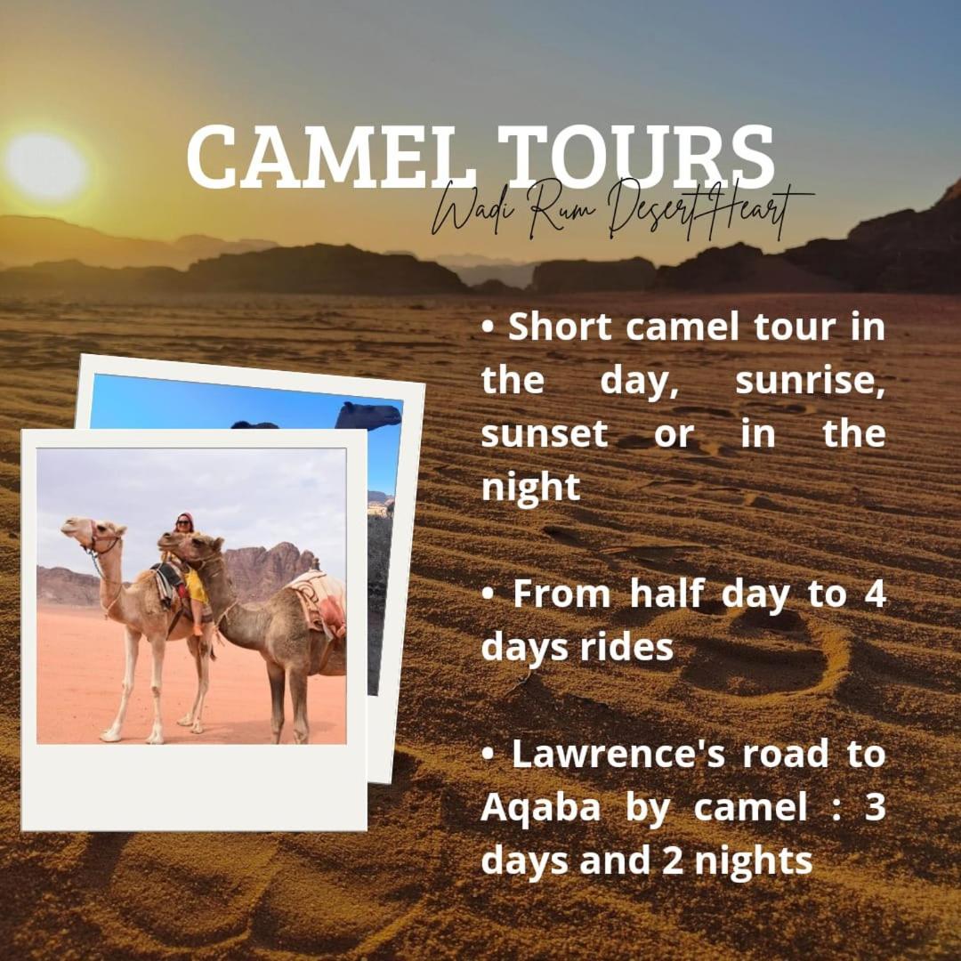 Wadi Rum Desert Heart Camp Exteriör bild
